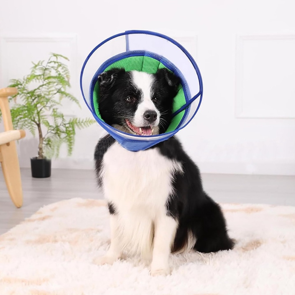 INKZOO Dog Cone Blue&Green XL